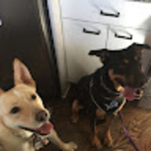 Meet your Posher, John